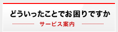 どういったことでお困りですか　-サービス案内 -
